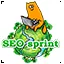 Seosprint Sms Onay